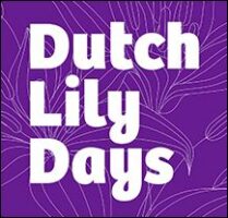 Dutch Lily Days 2025