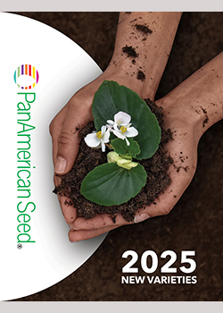 PanAmerican Seed 2024-2025